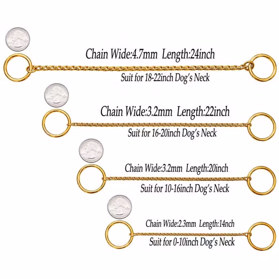 Cão Colla de corrente deslizante de ligações de aço inoxidável fortes e leves